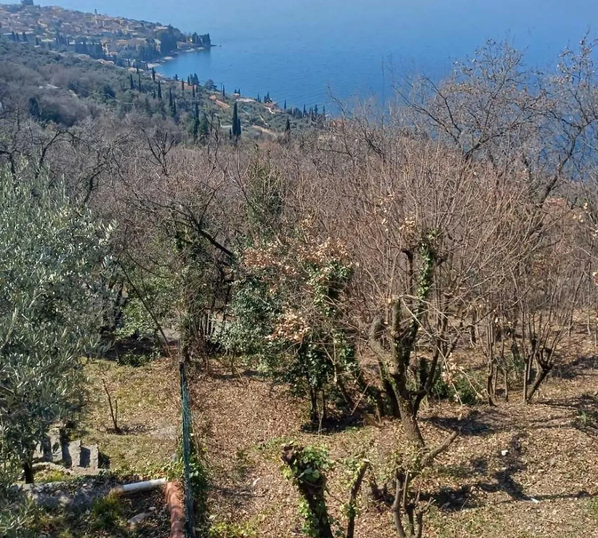 Villa 7 Torri Del Benaco Ac P Vista Lago Giardino 0*,